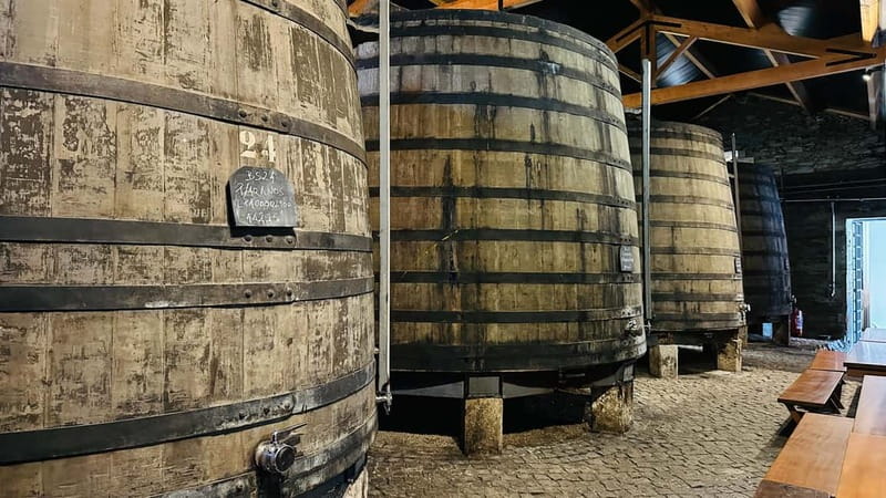 Porto to Gaia Experience: City Walk and Wine Cellars - Mercado do Bolhão and Rua de Santa Catarina: the local-life pulse
