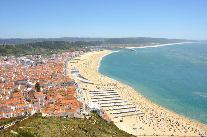 Porto to Lisbon up to 5 stops Aveiro Coimbra Fátima Nazaré Óbidos - Key points to know before you go