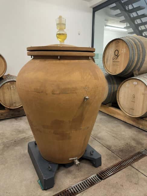 Porto: Vinho Verde Region Tour with 2 Wineries & Lunch - Monção sightseeing plus a second, more modern winery