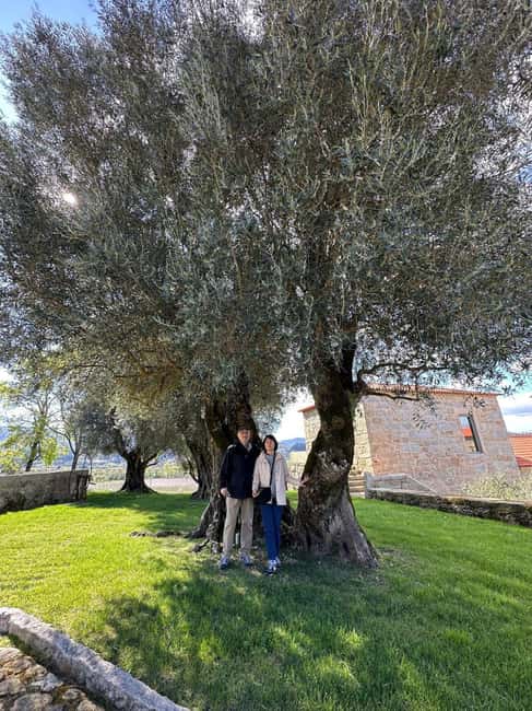 Porto: Vinho Verde Region Tour with 2 Wineries & Lunch - The guide experience that makes the day feel personal
