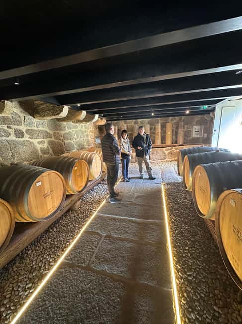 Porto: Vinho Verde Region Tour with 2 Wineries & Lunch - Melgaço winery tour: family vineyards and cellar time