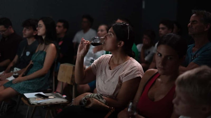 Porto: What is Fado? Commented Live Concert with Port Wine - Who this Porto fado show suits best