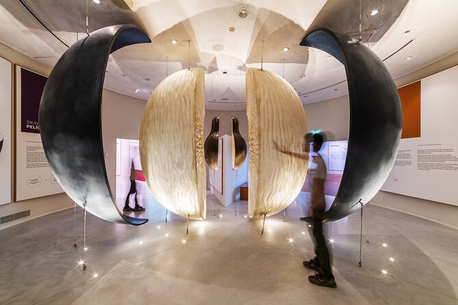 Porto: Wine Experience Museum with 3 Wine Tastings - How the museum route works once you’re inside