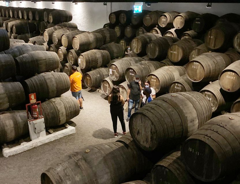 Porto: Wine Tasting with Tapas Walking Tour - Guides, Pace, and How You Learn to Taste Like an Expert