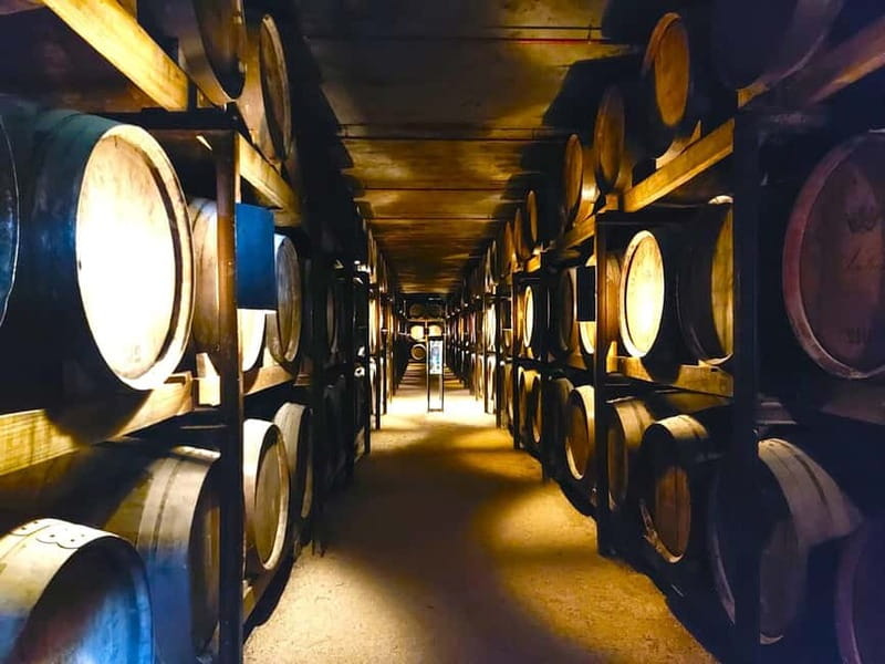 Porto: Wine Tastings (Green Wine) & Lunch & Porto Old Tour - At the Quinta: tasting DOC Vinhos Verdes with real context