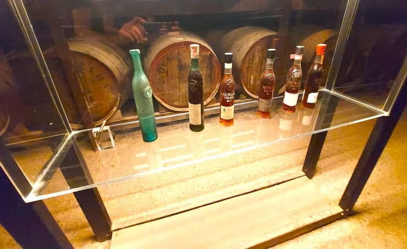 Porto: Wine Tastings (Green Wine) & Lunch & Porto Old Tour - Timing and comfort: how this 7-hour structure feels day-to-day