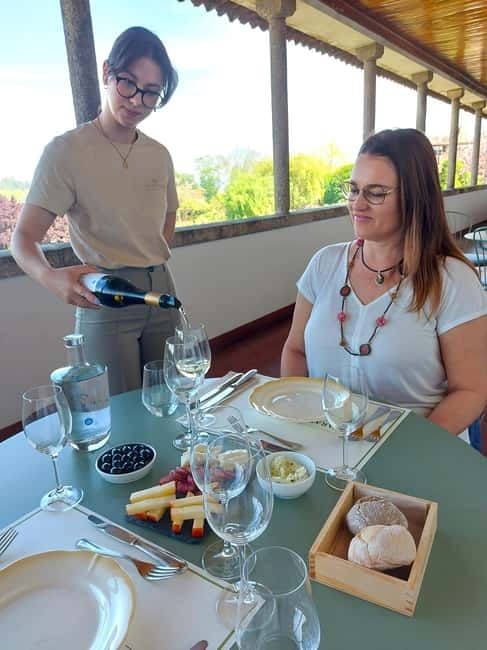 Porto: Wine Tastings (Green Wine) & Lunch & Porto Old Tour - Who should book this Porto wine and old-tour day