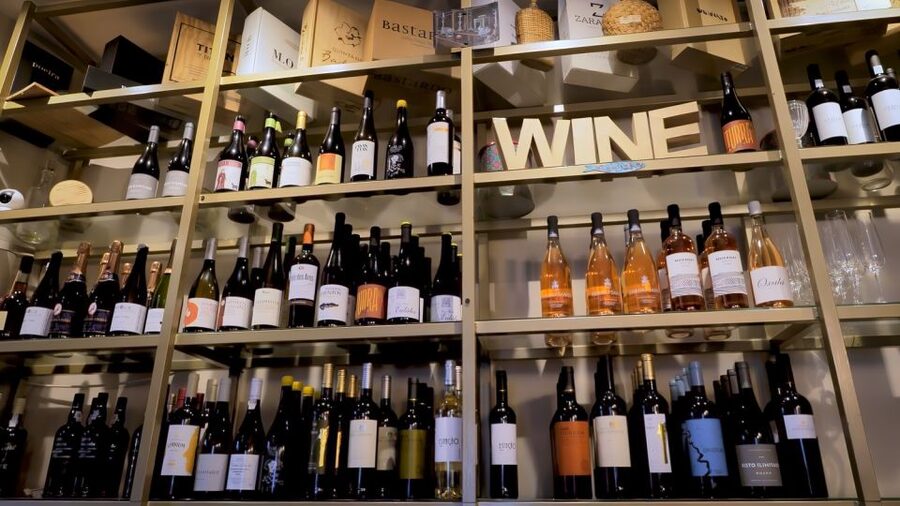 Porto: Wine Tour & One Hour Fado Show | All Included - The wine bar tasting: Douro, Alentejo, and Vinho Verde with real food