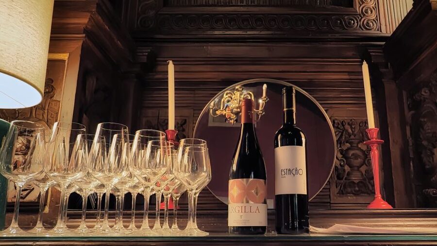 Porto: Wine Tour & One Hour Fado Show | All Included - How the guide experience shapes the whole night