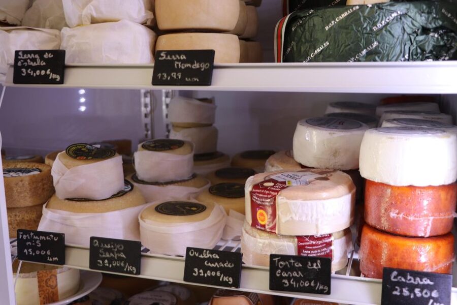 Portuguese Wine Tasting w Local Cheese & Cold Cuts pairing - Price and value: is $34 per person a fair deal?