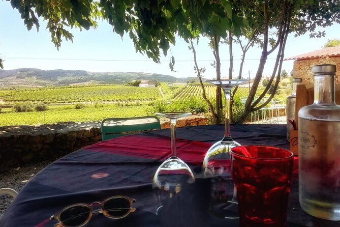 Premium Douro Valley Small-Group Tour, Wine Tasting, Lunch & Boat - Getting From Porto to the Valley, and Why That Matters
