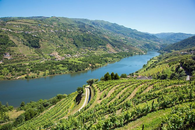 Premium Douro Valley Small-Group Tour, Wine Tasting, Lunch & Boat - Casa dos Barros Lunch: Wine Country Meals With Real Choices