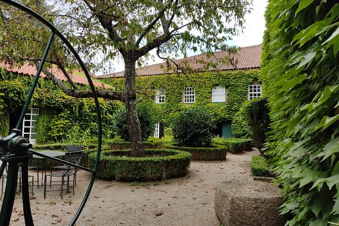 Premium Douro Valley Small-Group Tour, Wine Tasting, Lunch & Boat - Guides, Language, and That Human Part of the Day