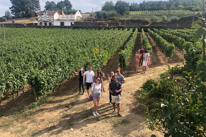 Premium Douro Valley Small-Group Tour, Wine Tasting, Lunch & Boat - Quinta do Panascal: Port Wine Tastings in Vineyard Country