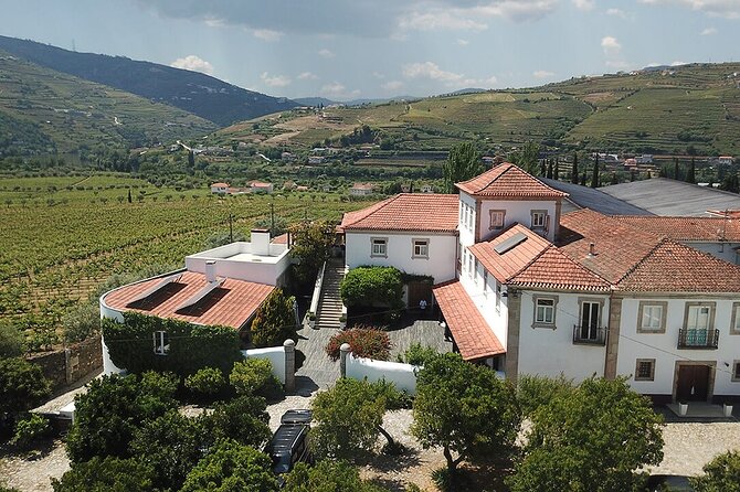 Premium Private Douro Tour: 2 Wineries with Tastings & Cruise - Why this Douro Valley day works so well for wine lovers