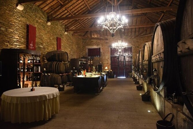Premium Private Douro Tour: 2 Wineries with Tastings & Cruise - Hands-on wine moments like grape picking and stomping