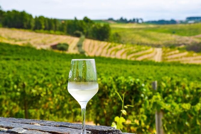 Premium Private Douro Tour: 2 Wineries with Tastings & Cruise - The shared 1-hour Rabelo boat cruise on the Douro