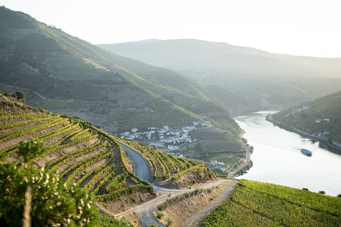 Premium Private Douro Tour: 2 Wineries with Tastings & Cruise - 8:30 am pickup from Porto and the comfort of air-conditioned transport