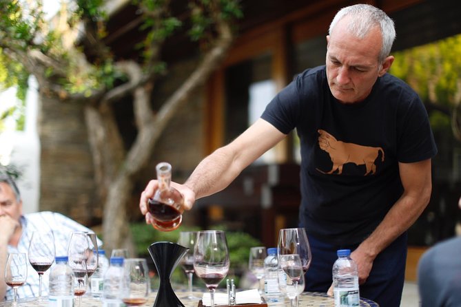Premium Private Douro Tour: 3 Wineries with Tastings & Lunch - Why this Douro day starts in Porto (and stays easy)