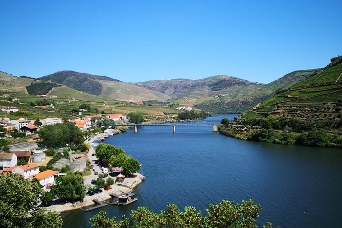 Premium Private Douro Tour: 3 Wineries with Tastings & Lunch - Stop 3: Quinta de Tourais, Douro DOC and port making, side by side