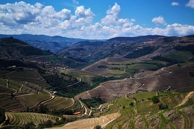 Premium Private Douro Tour: 3 Wineries with Tastings & Lunch - Private tour value: what $520.23 really buys you