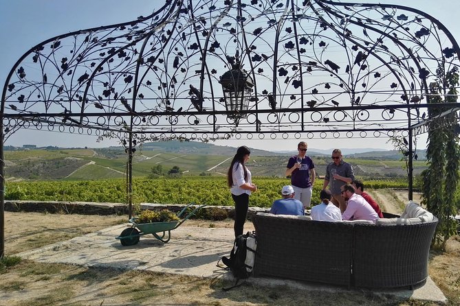 Premium Private Douro Tour: 3 Wineries with Tastings & Lunch - The tasting plan: Moscatel, Douro DOC, and port in a smart order