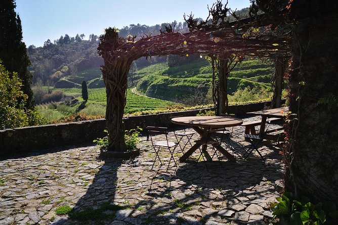 Premium Private Douro & Vinho Verde Tour: Wine Tastings & Lunch - Porto pickup, then straight to the Douro Valley