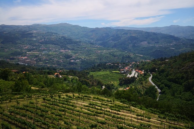 Premium Private Douro & Vinho Verde Tour: Wine Tastings & Lunch - Vinho Verde in the afternoon: crisp DOC wines in a different style