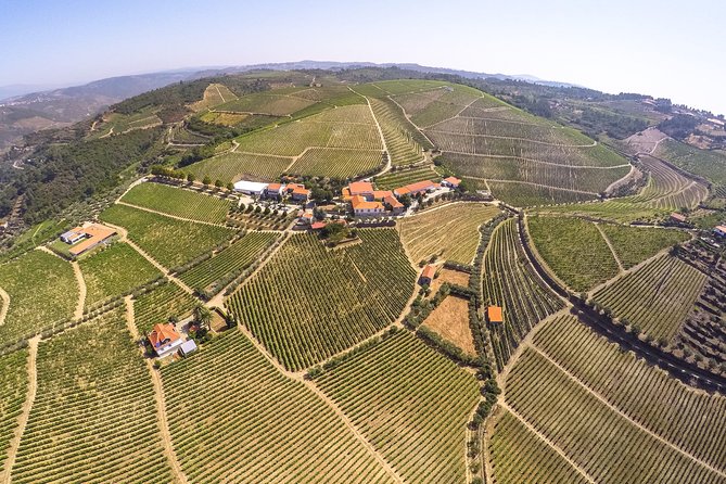 Premium Private Douro & Vinho Verde Tour: Wine Tastings & Lunch - The weather and walking reality of a full-day wine tour