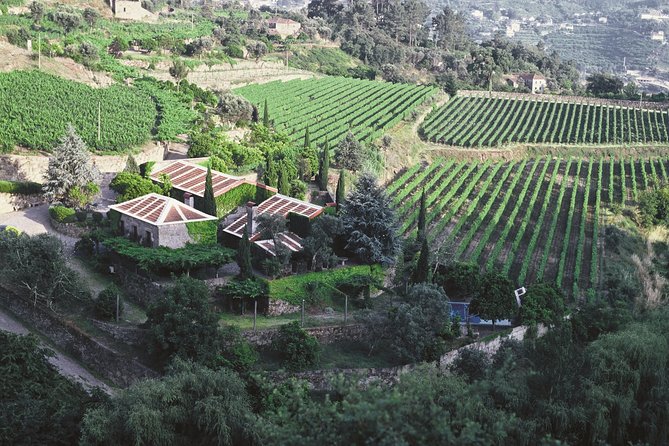 Premium Private Douro & Vinho Verde Tour: Wine Tastings & Lunch - Private format: what you gain in a 10-hour day