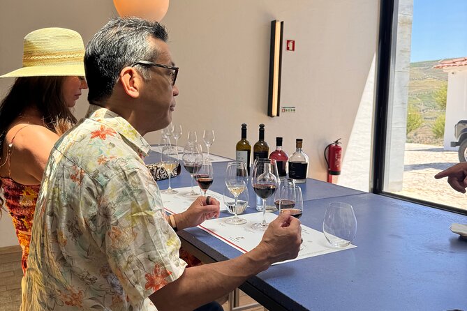 Private 4wd adventure in DE Douro: lunch, wine tasting and boat - The wine and food plan: what is included and how to enjoy it