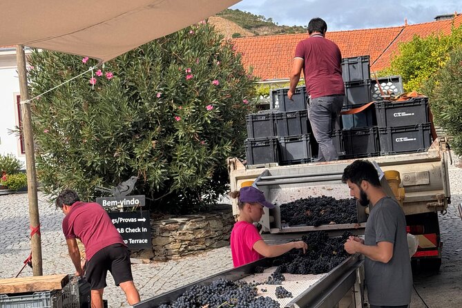 Private 4wd adventure in DE Douro: lunch, wine tasting and boat - Off-road Douro 4WD: comfort, safety, and real back-road views