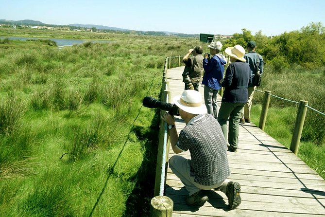 Private Birdwatching from Porto - Price and value: what $216.25 buys you in real terms
