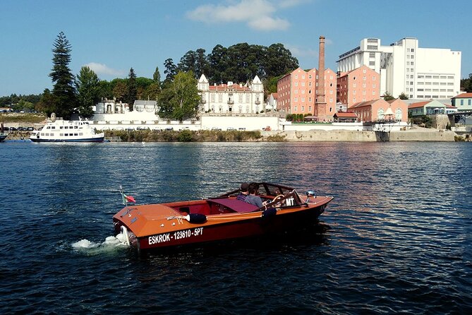 Private Boat Tour - Ricky's Douro - Quick highlights worth planning around