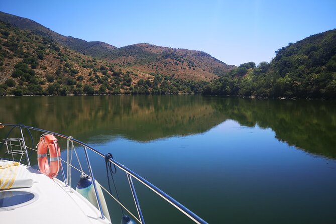 Private boat trip with lunch in a typical restaurant - Lunch in a century-old house with Portuguese comfort food and wine
