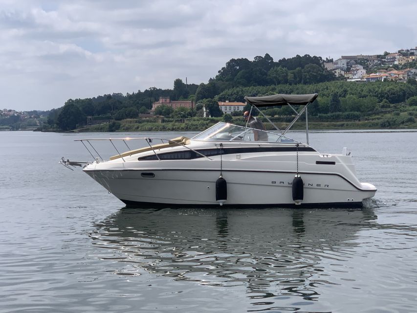 Private Cruise in Rio Douro - 2 hours - Up to 8 Passengers - Key things that make this Douro cruise worth it