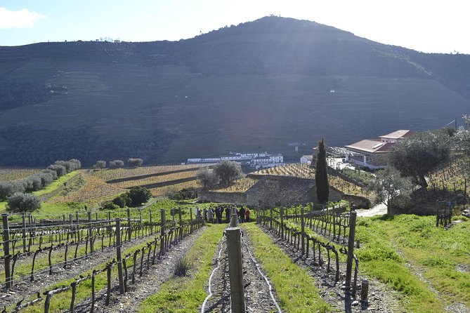 Private Douro 4x4 Adventure from Porto with Deluxe Pic nic - Winery visit at Quinta Seara d’Ordens: port and wine tasting done right
