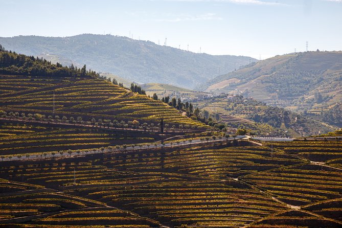 Private Douro 4x4 Adventure from Porto with Deluxe Pic nic - Miradouro de São Leonardo de Galafura: the picnic view you actually plan around