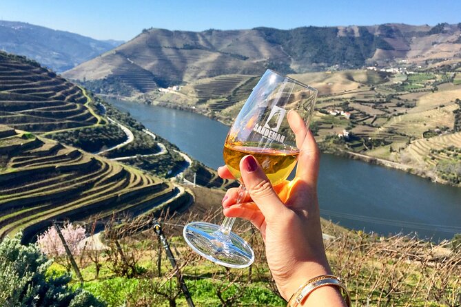 Private Douro Tour with Lunch Wine Tasting Boat and Train Cruise - Key highlights at a glance