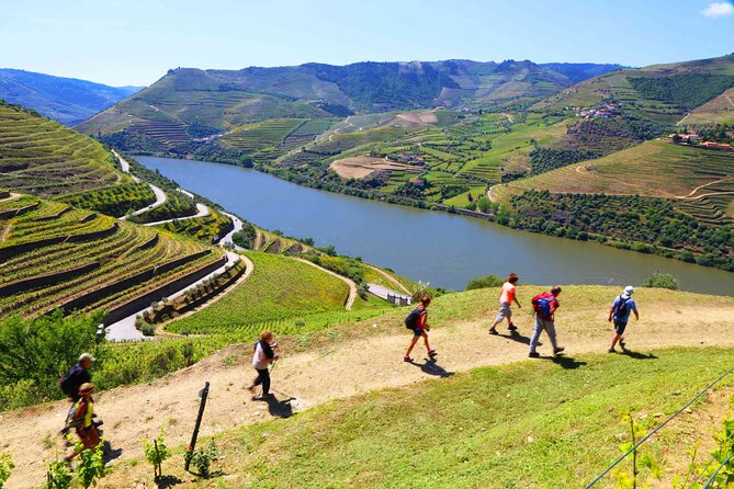 Private Douro Tour with Lunch Wine Tasting Boat and Train Cruise - Pinhão Boat Cruise: Terraced Vine Hills From the Water