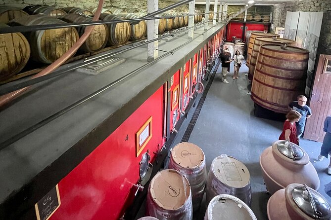 Private Douro Tour with Lunch Wine Tasting Boat and Train Cruise - Traditional Lunch in Pinhão With Local Wines