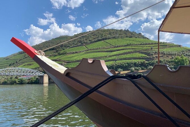Private Douro Valley, 2 wine tastings and boat tour - Why this private setup feels worth it: the guide does the heavy lifting