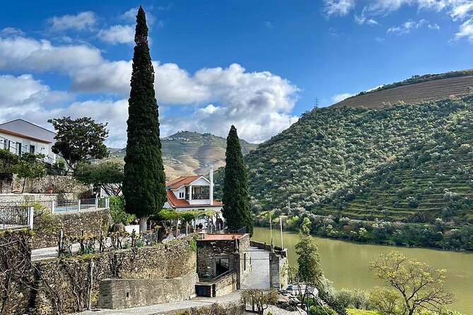 Private Douro Valley, 2 wine tastings and boat tour - Who should book this private Douro Valley tour?
