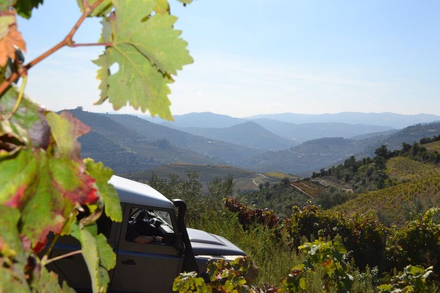 Private Douro Valley 4WD Tour with Wine Tasting and Picnic - Key highlights you’ll actually feel