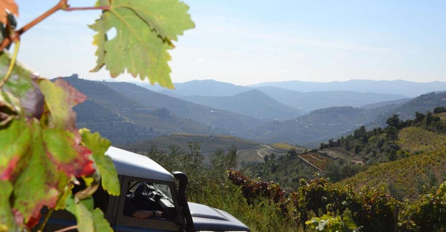 Private Douro Valley 4WD Tour with Wine Tasting and Picnic - Why a private 4WD Douro day is worth the money