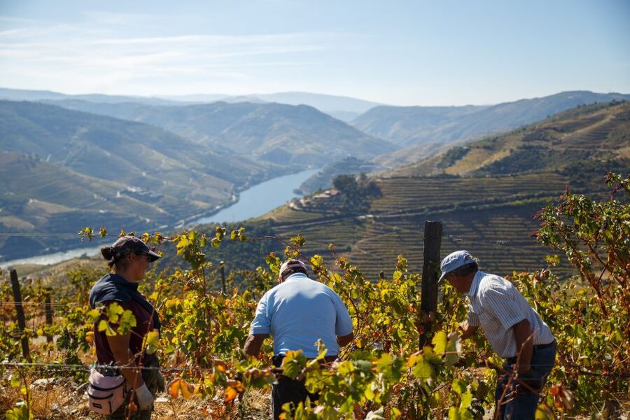 Private Douro Valley 4WD Tour with Wine Tasting and Picnic - The São Leonardo de Galafura picnic: food with a view, not a restaurant vibe