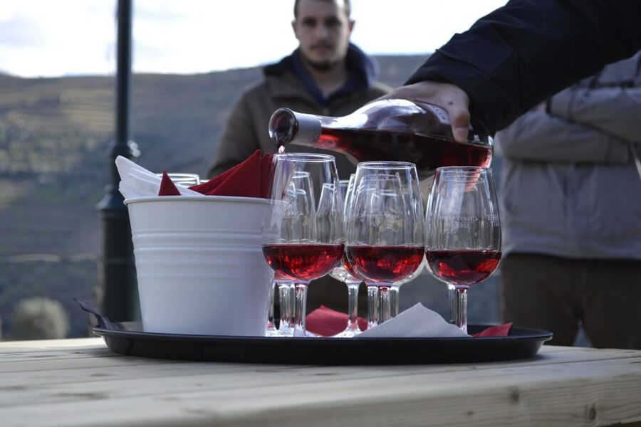 Private Douro Valley 4WD Tour with Wine Tasting and Picnic - Port tasting at a local quinta, with guided context