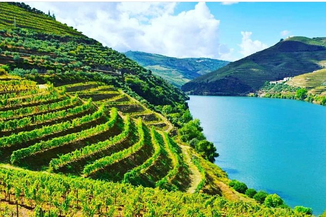 Private Douro Valley Food and Wine Tour From Porto - What makes this private Douro day work so well from Porto