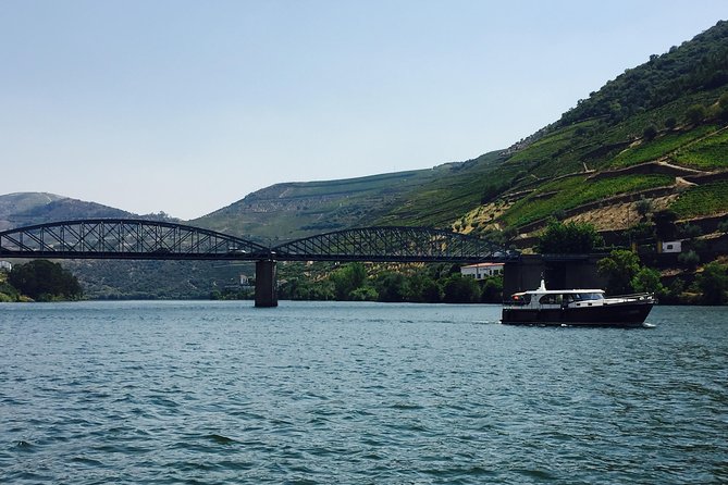 Private Douro Valley Food and Wine Tour From Porto - Sabrosa: the lunch-and-cellar part that makes the day feel worth it
