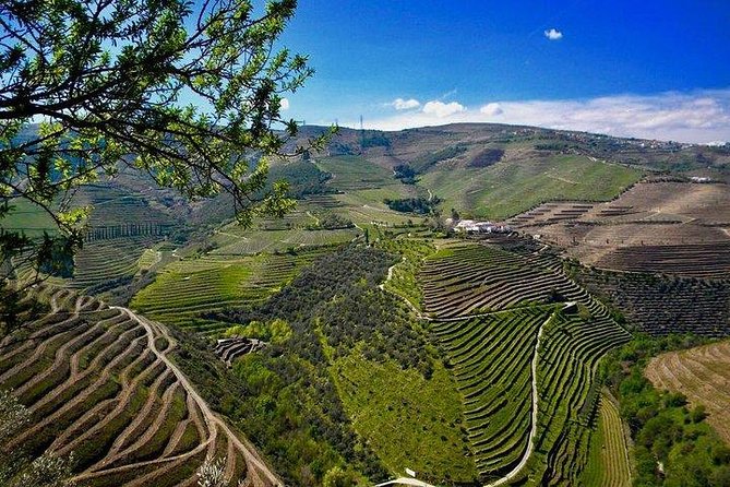 Private Douro Valley - Senses Experiences - Why This Douro Day Starts With the Drive